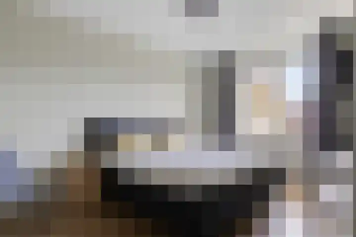 De Brouwerstraat 3 Hoogeloon thumbnail 9