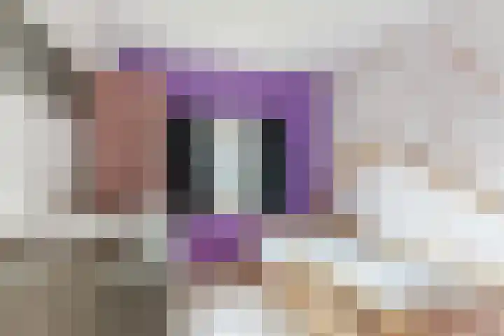 De Brouwerstraat 4 Hoogeloon thumbnail 20