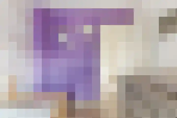 De Brouwerstraat 4 Hoogeloon thumbnail 21