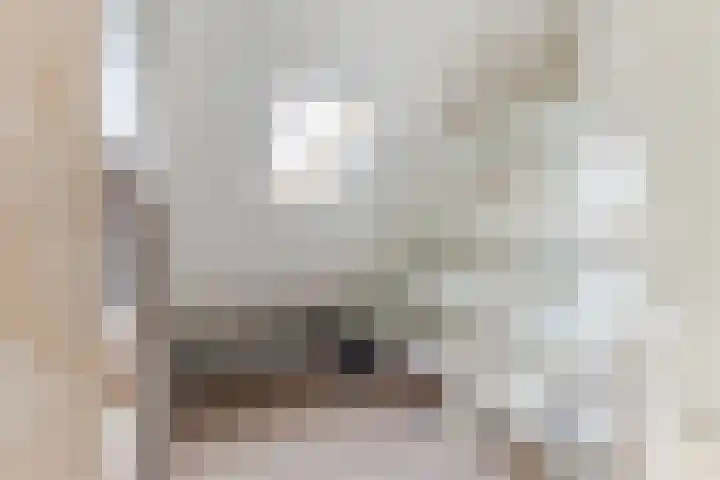 De Brouwerstraat 4 Hoogeloon thumbnail 22
