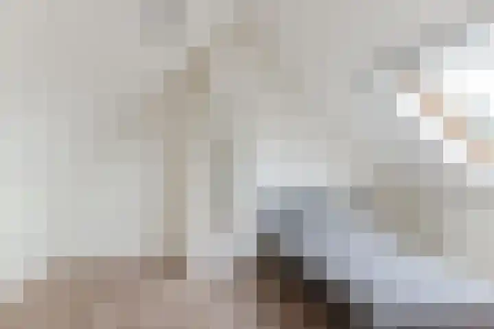 De Brouwerstraat 4 Hoogeloon thumbnail 24