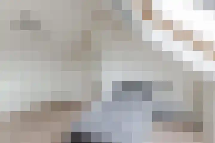De Brouwerstraat 4 Hoogeloon thumbnail 25