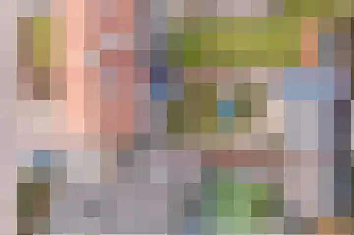 De Brouwerstraat 4 Hoogeloon thumbnail 31