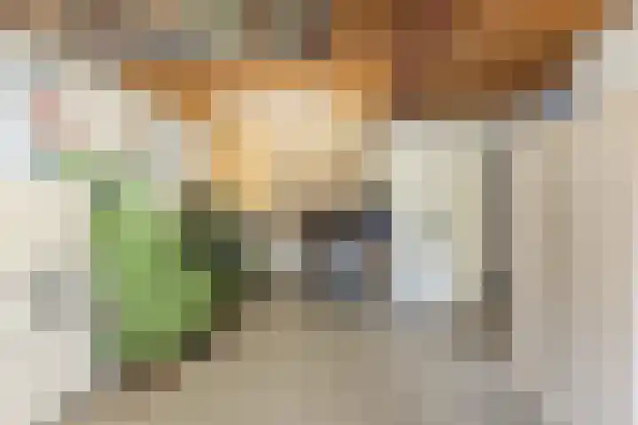 De Brouwerstraat 4 Hoogeloon thumbnail 33