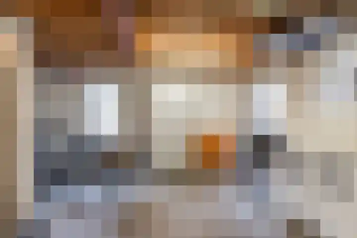 De Brouwerstraat 4 Hoogeloon thumbnail 35