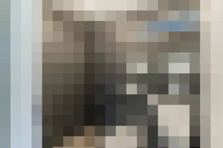 De Brouwerstraat 4 Hoogeloon thumbnail 36