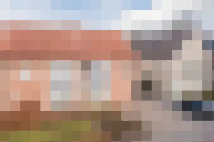 De Brouwerstraat 4 Hoogeloon thumbnail 38