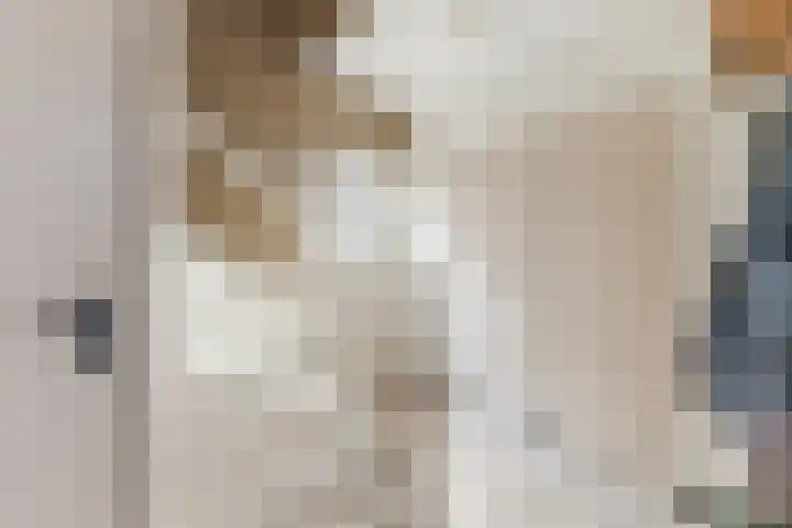 De Brouwerstraat 4 Hoogeloon thumbnail 5