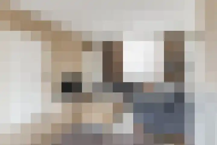 De Brouwerstraat 4 Hoogeloon thumbnail 7