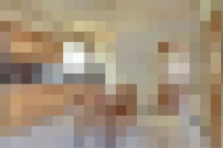 De Brouwerstraat 7 Hoogeloon thumbnail 11