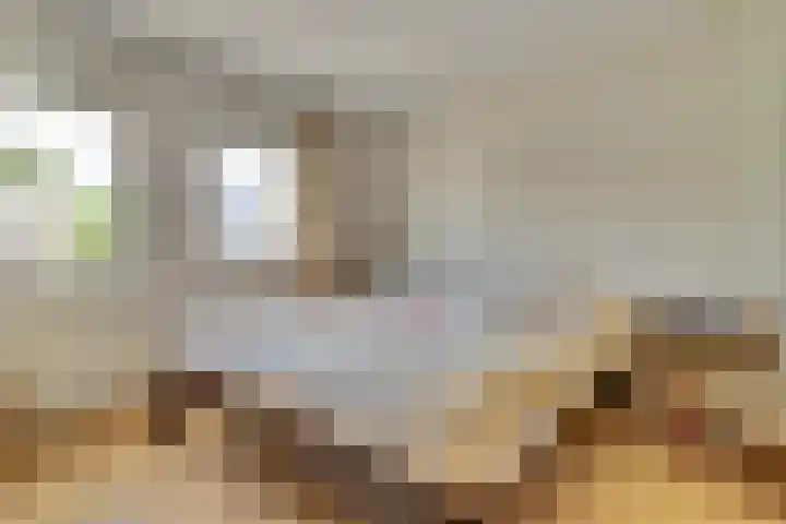 De Brouwerstraat 7 Hoogeloon thumbnail 17