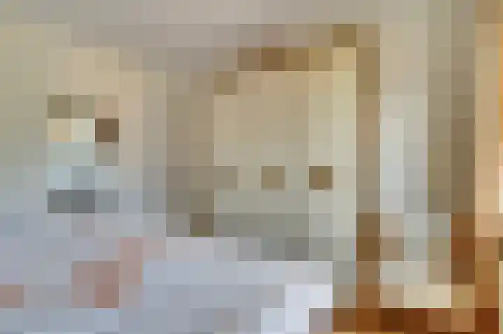 De Brouwerstraat 7 Hoogeloon thumbnail 18