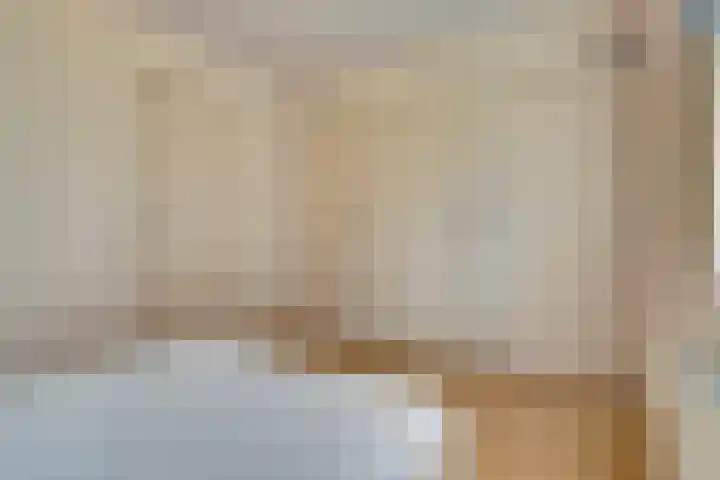 De Brouwerstraat 7 Hoogeloon thumbnail 20
