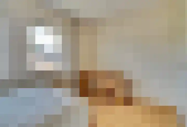 De Brouwerstraat 7 Hoogeloon thumbnail 22