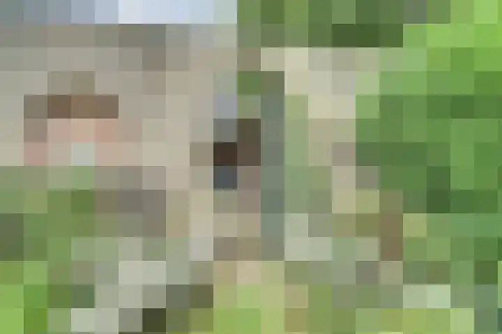De Brouwerstraat 7 Hoogeloon thumbnail 27