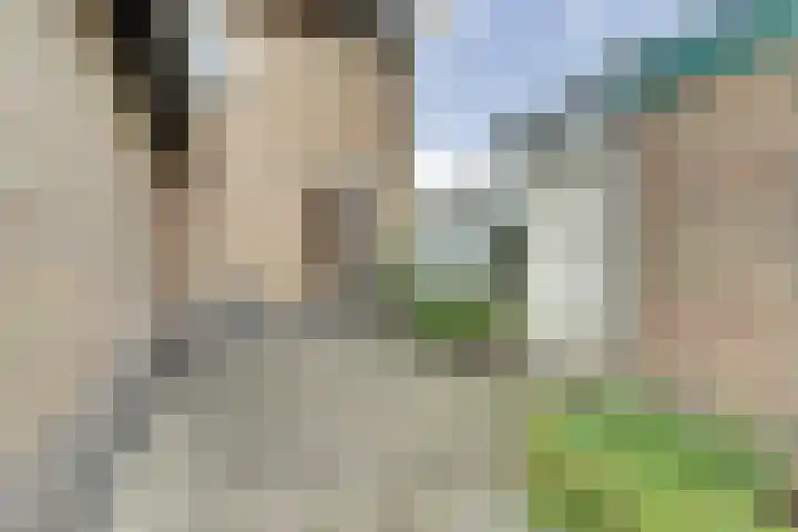 De Brouwerstraat 7 Hoogeloon thumbnail 28
