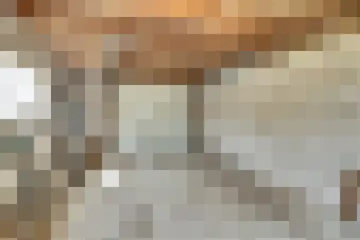 De Brouwerstraat 7 Hoogeloon thumbnail 29