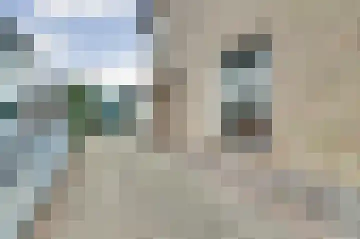 De Brouwerstraat 7 Hoogeloon thumbnail 31
