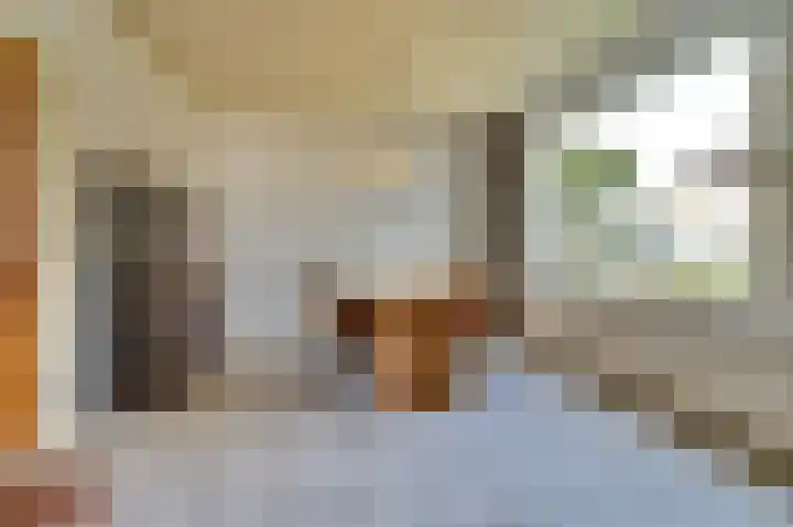 De Brouwerstraat 7 Hoogeloon thumbnail 6