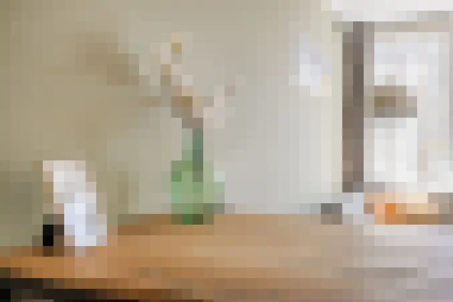 De Brouwerstraat 9 Diessen thumbnail 12