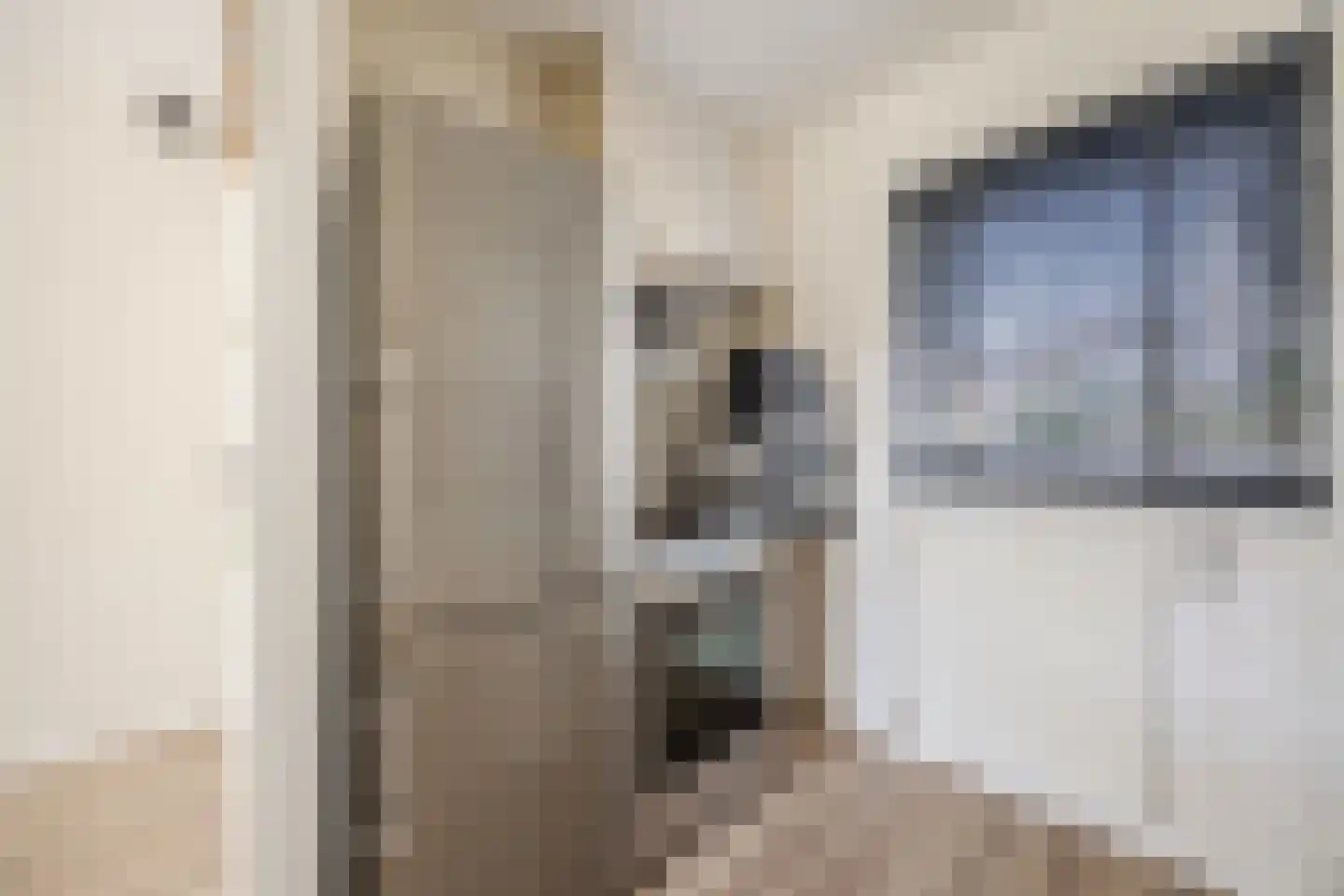 De Brouwerstraat 9 Diessen thumbnail 14