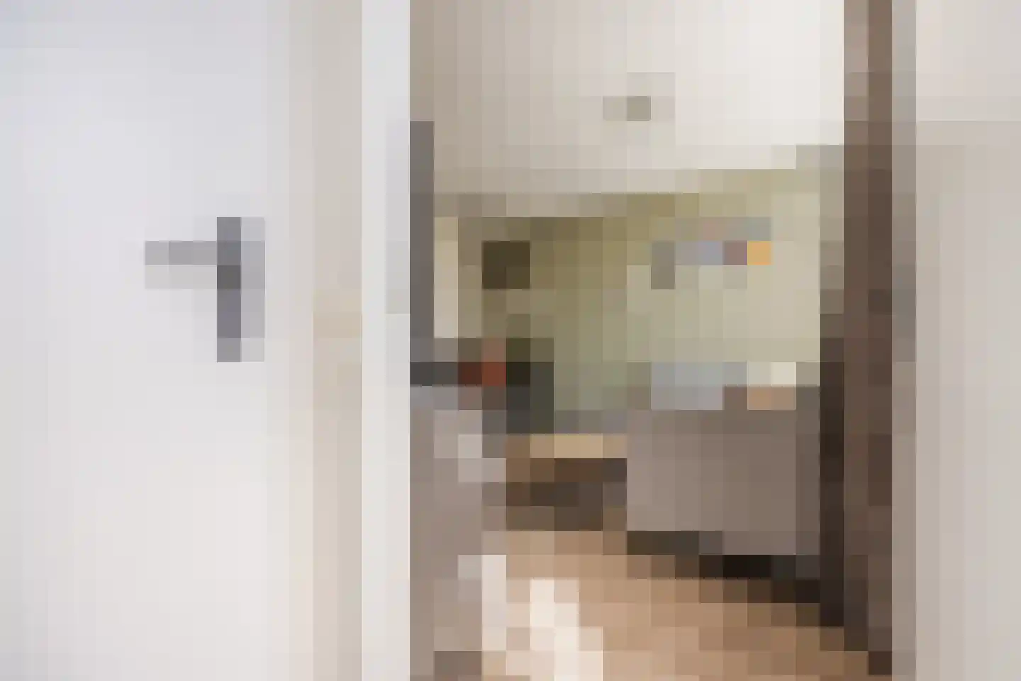 De Brouwerstraat 9 Diessen thumbnail 17