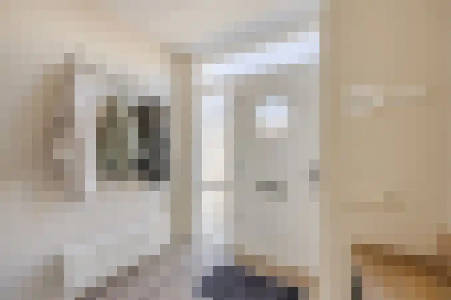 De Brouwerstraat 9 Diessen thumbnail 18