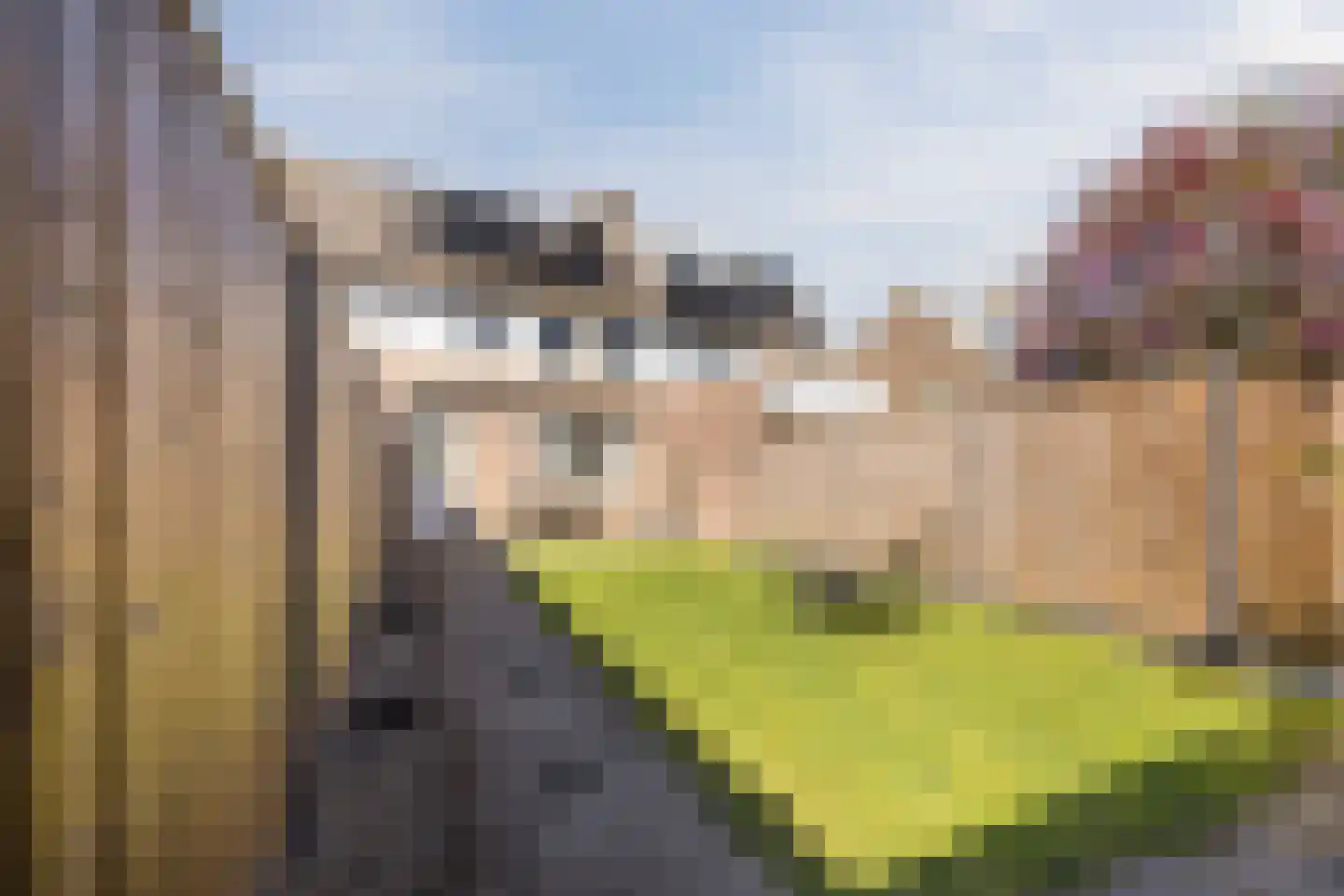 De Brouwerstraat 9 Diessen thumbnail 4