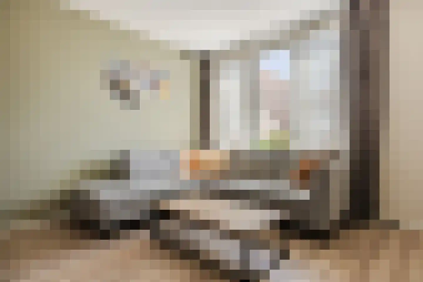 De Brouwerstraat 9 Diessen thumbnail 6