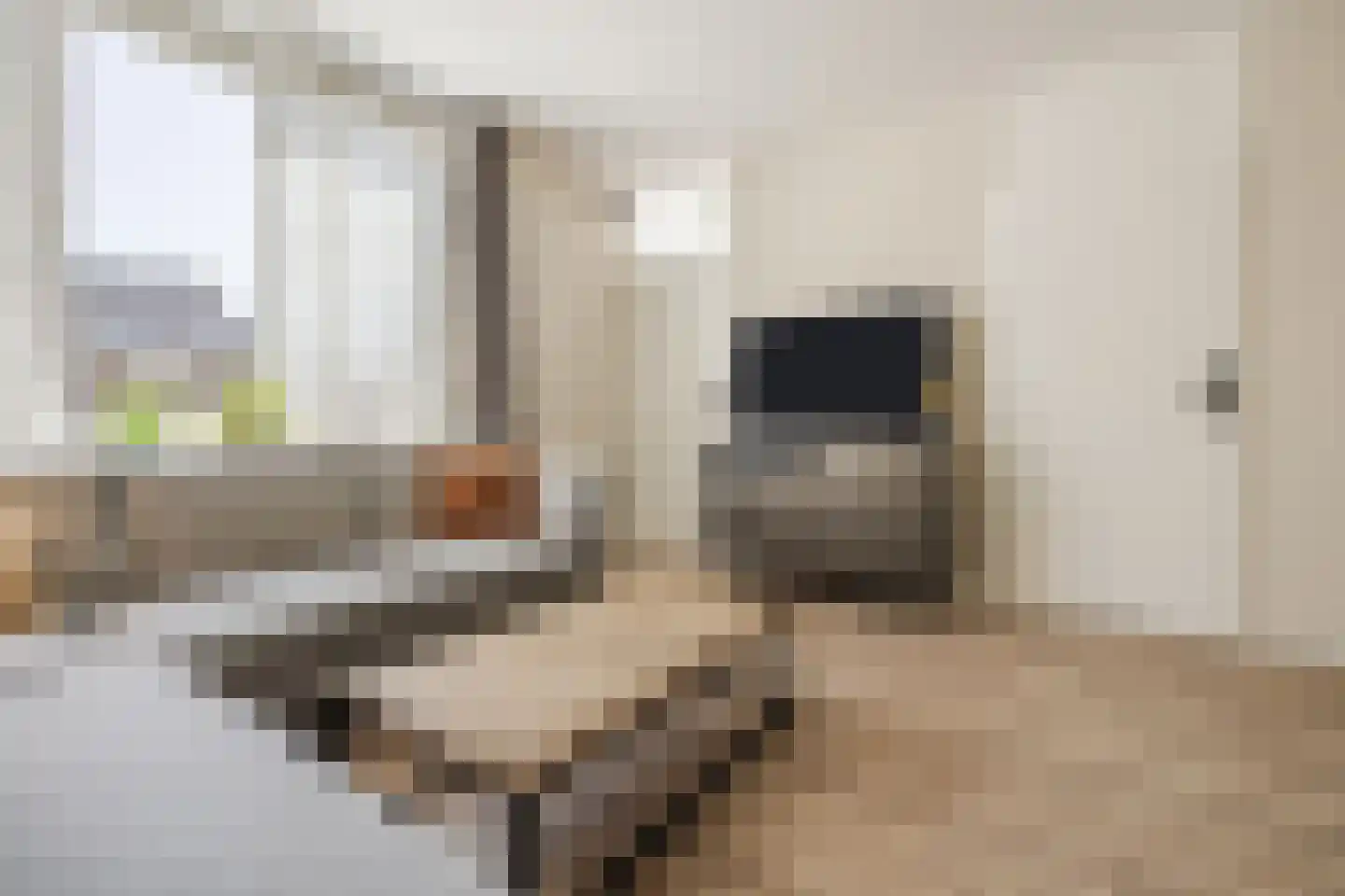 De Brouwerstraat 9 Diessen thumbnail 7