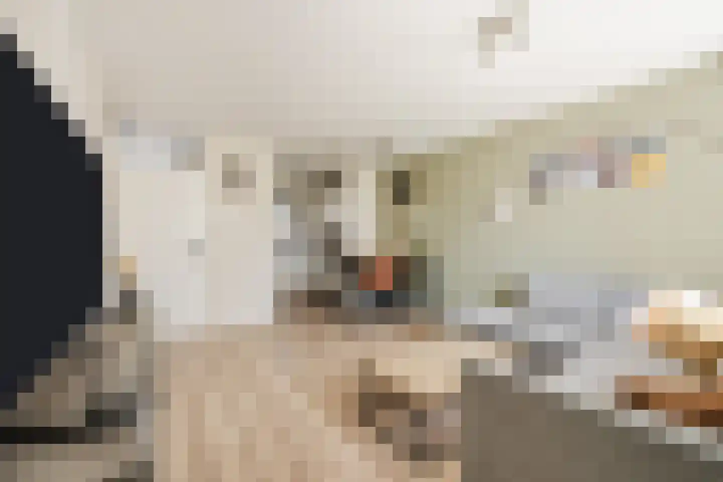 De Brouwerstraat 9 Diessen thumbnail 8