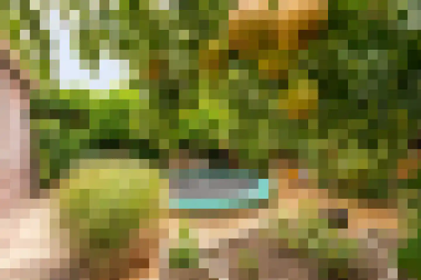 de Brouwpit 1 Meliskerke thumbnail 10