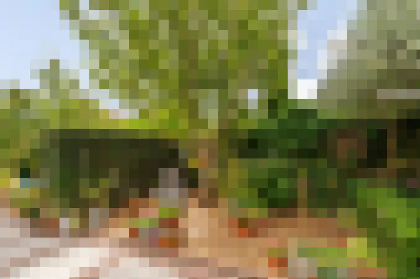 de Brouwpit 1 Meliskerke thumbnail 12