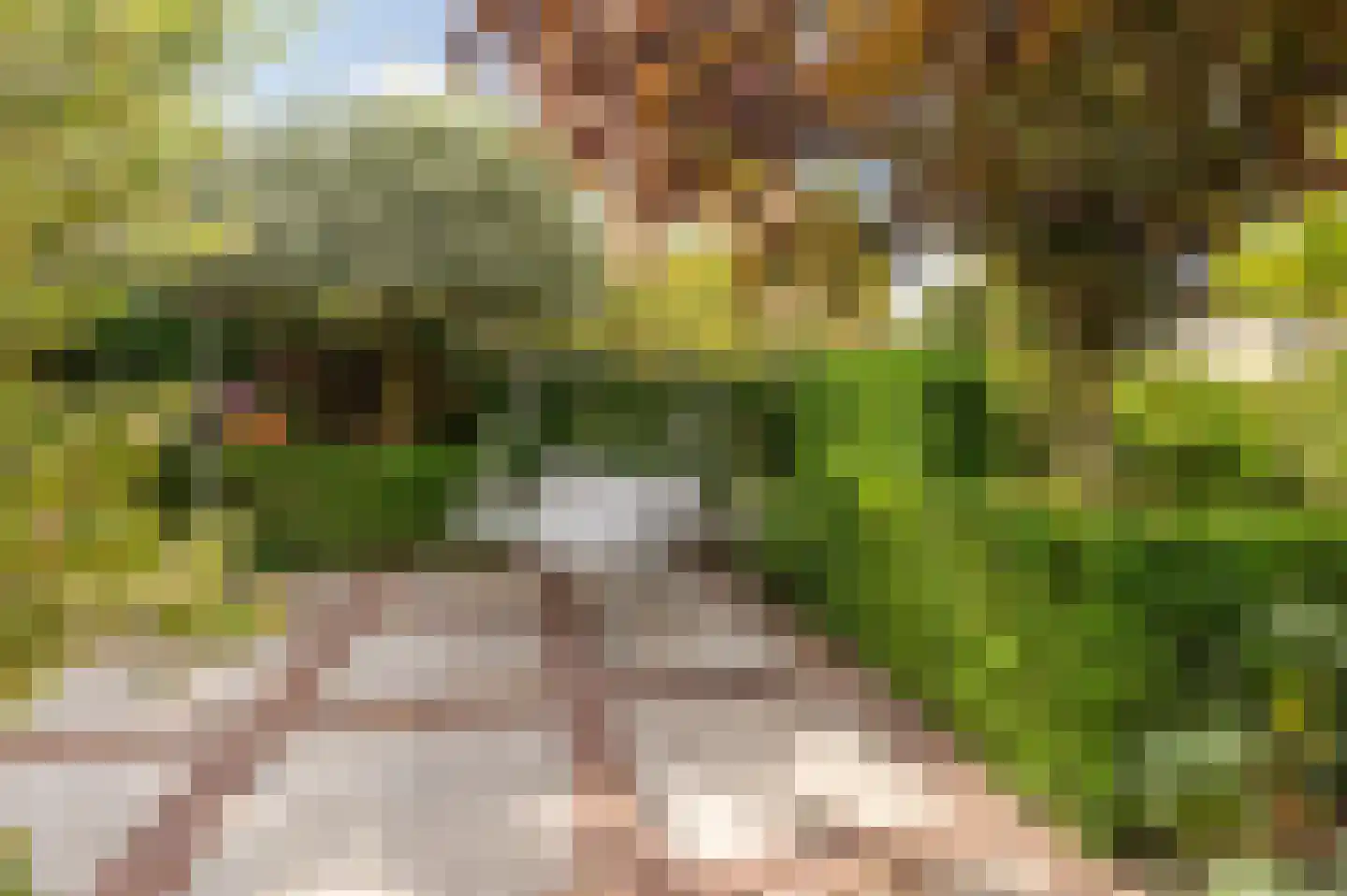 de Brouwpit 1 Meliskerke thumbnail 13