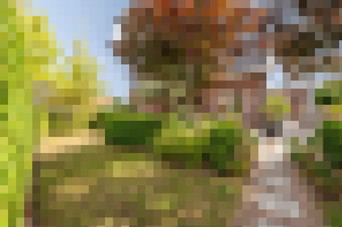 de Brouwpit 1 Meliskerke thumbnail 14
