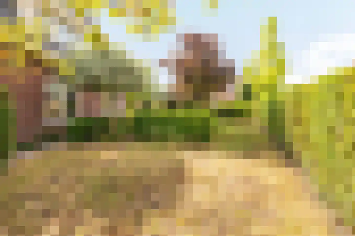 de Brouwpit 1 Meliskerke thumbnail 15