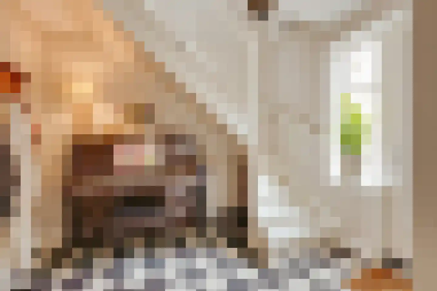 de Brouwpit 1 Meliskerke thumbnail 16