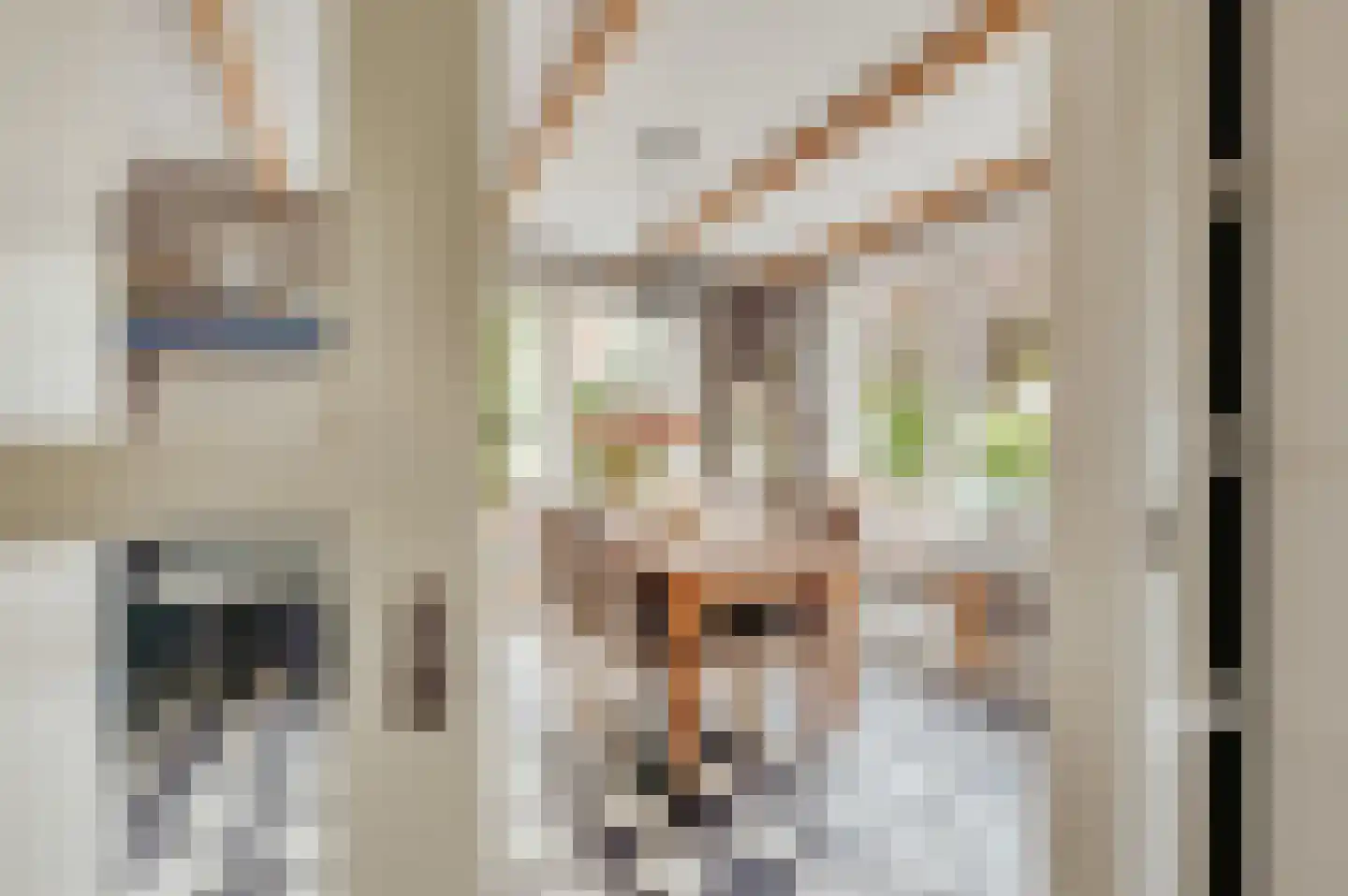 de Brouwpit 1 Meliskerke thumbnail 25