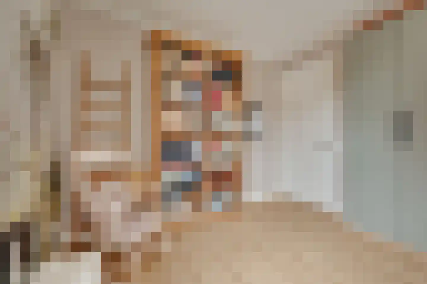 de Brouwpit 1 Meliskerke thumbnail 27