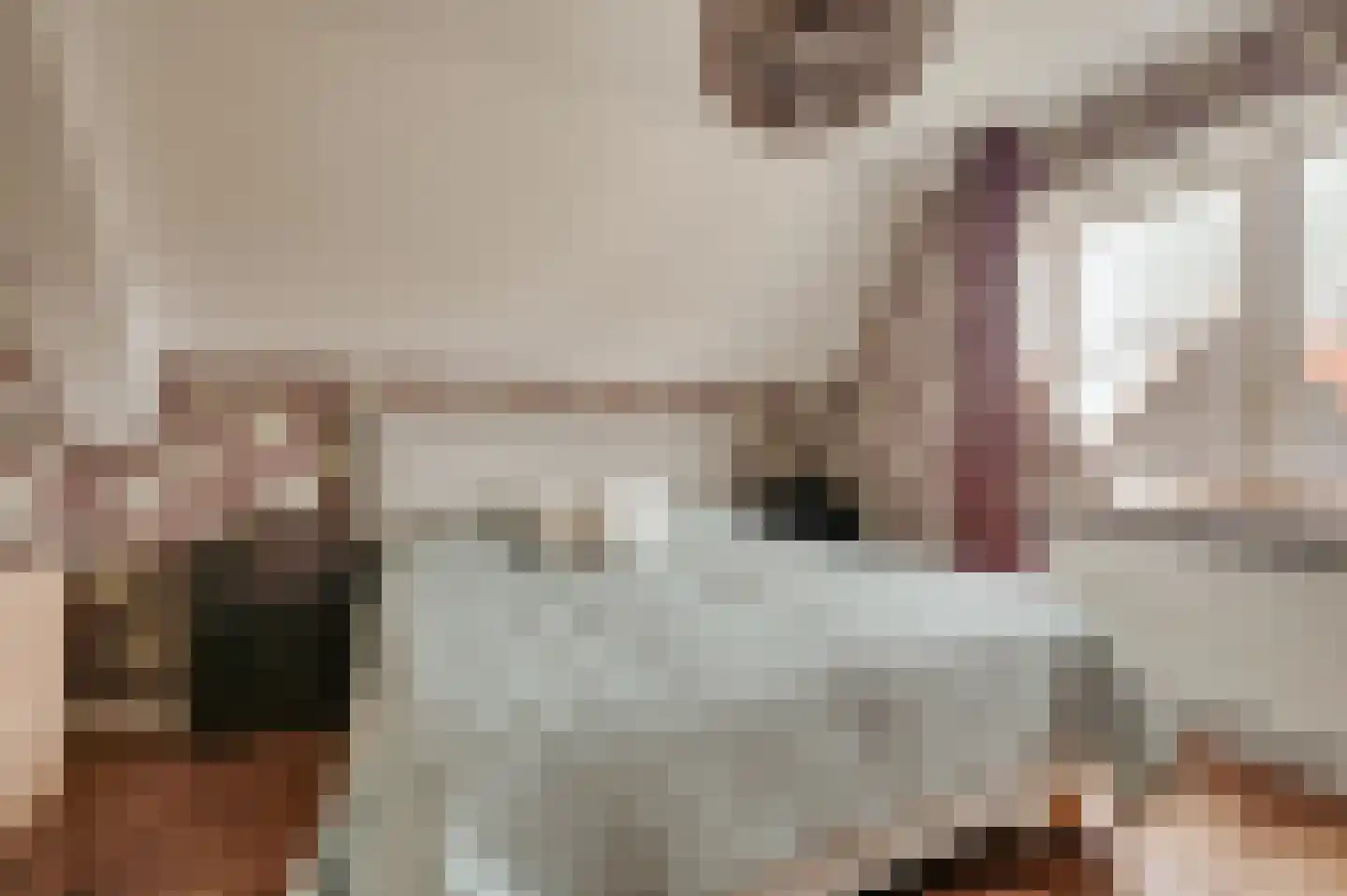 de Brouwpit 1 Meliskerke thumbnail 30