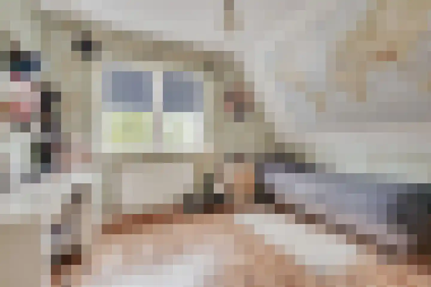 de Brouwpit 1 Meliskerke thumbnail 35