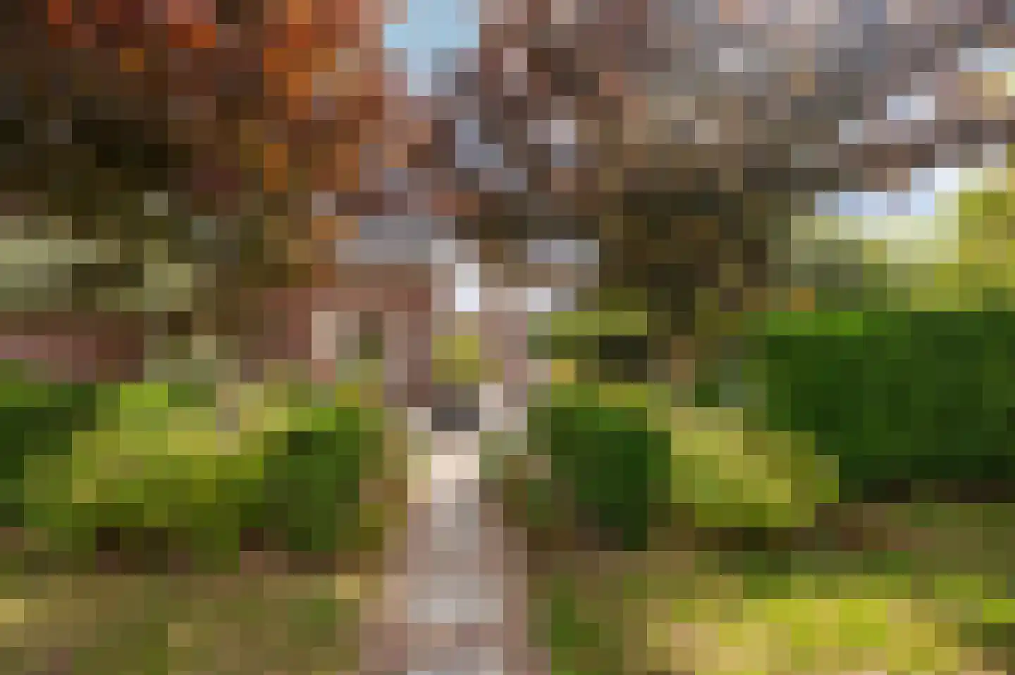 de Brouwpit 1 Meliskerke thumbnail 4