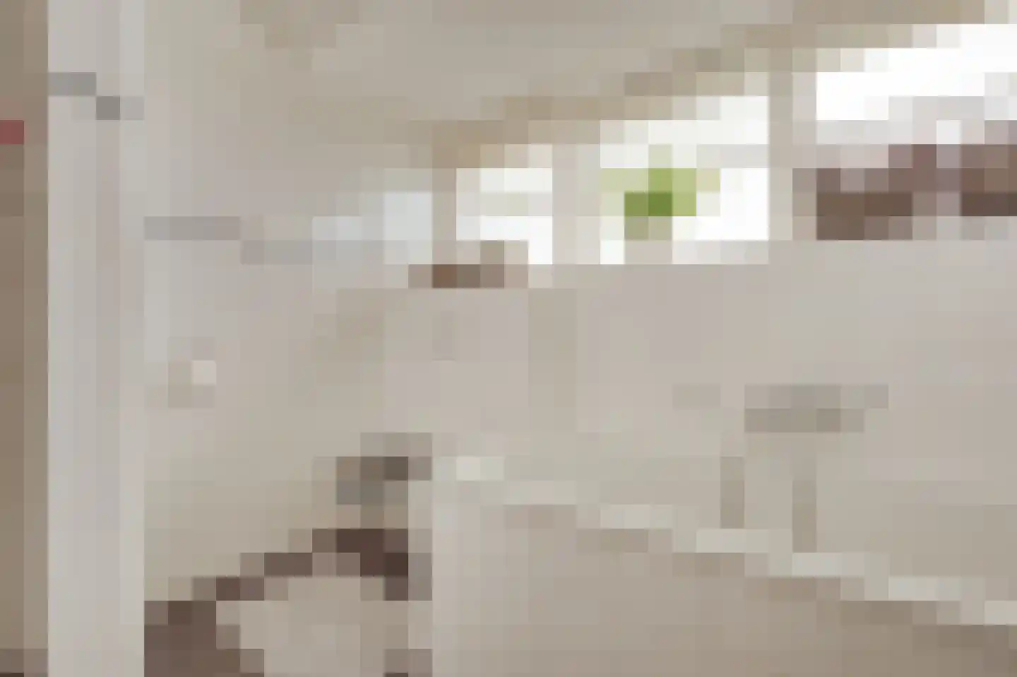 de Brouwpit 1 Meliskerke thumbnail 40