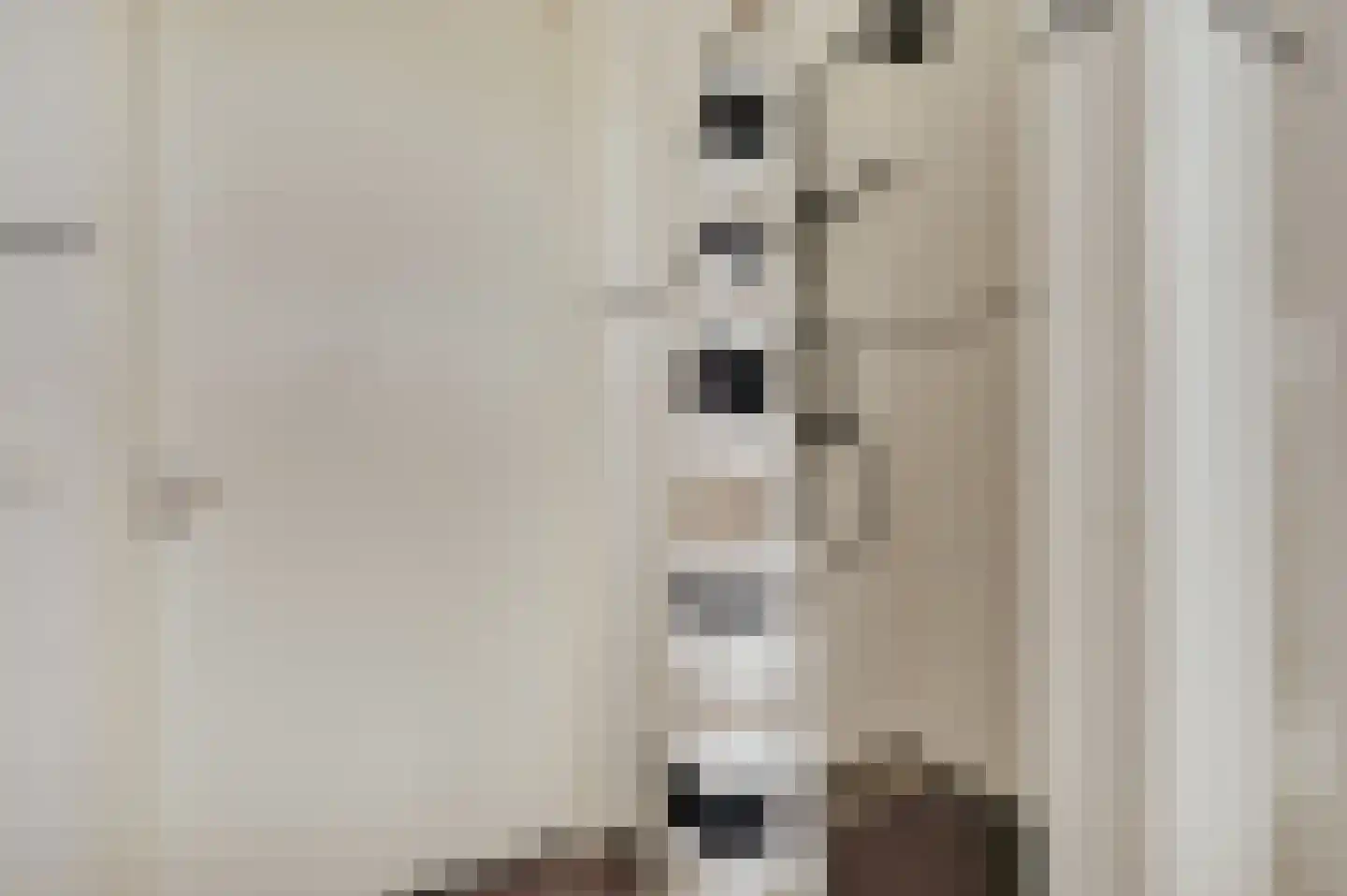 de Brouwpit 1 Meliskerke thumbnail 41
