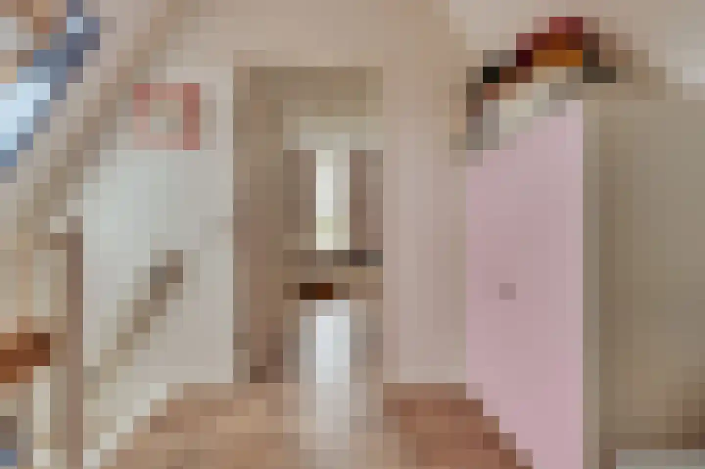 de Brouwpit 1 Meliskerke thumbnail 43