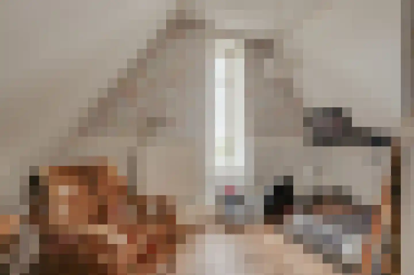 de Brouwpit 1 Meliskerke thumbnail 46