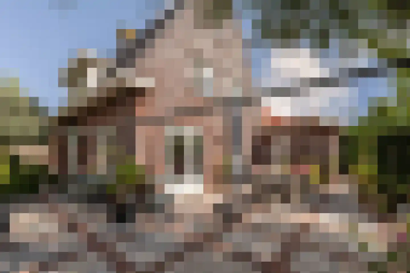 de Brouwpit 1 Meliskerke thumbnail 5