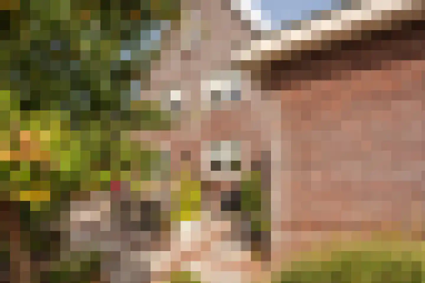 de Brouwpit 1 Meliskerke thumbnail 7