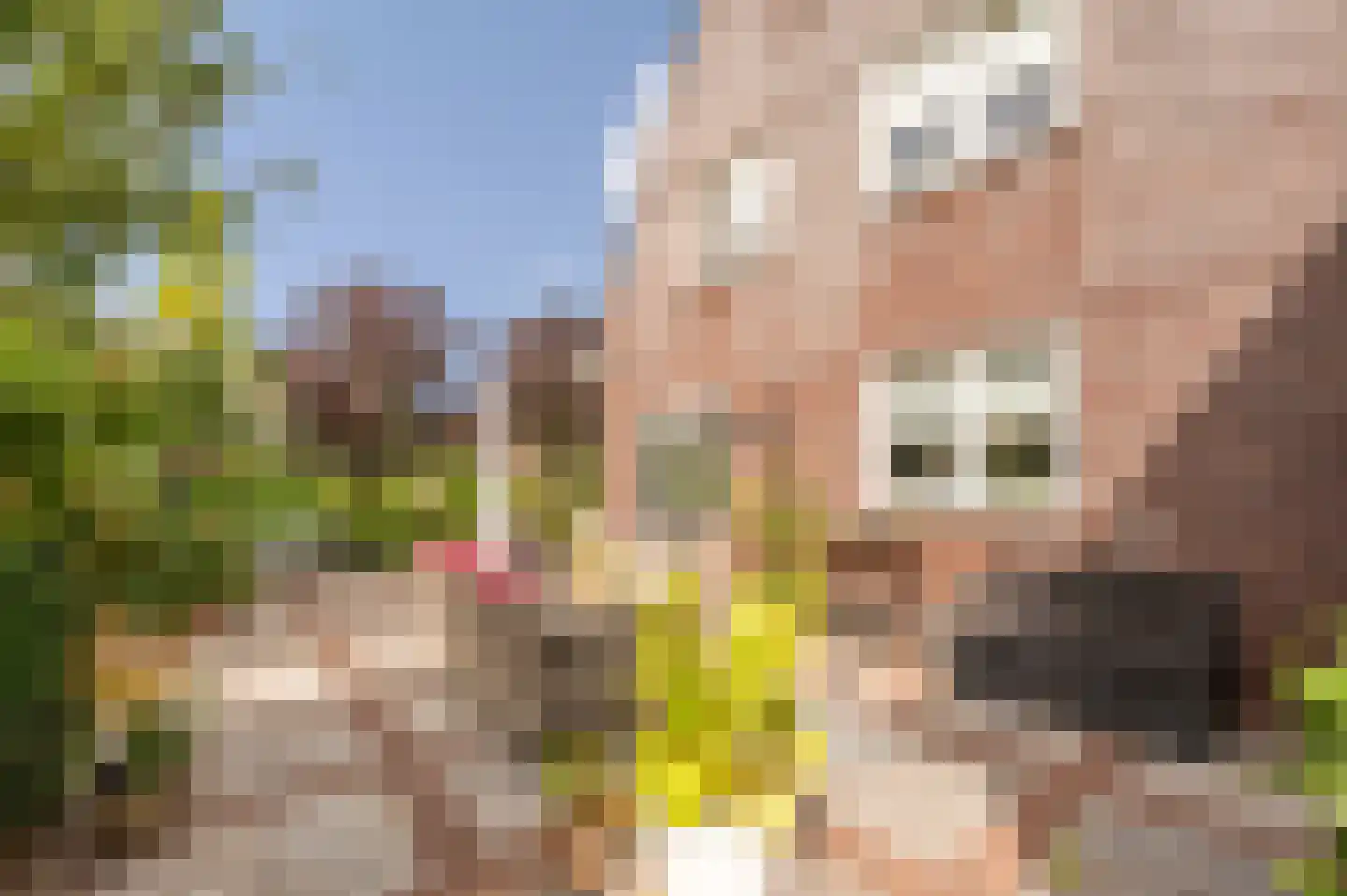 de Brouwpit 1 Meliskerke thumbnail 8