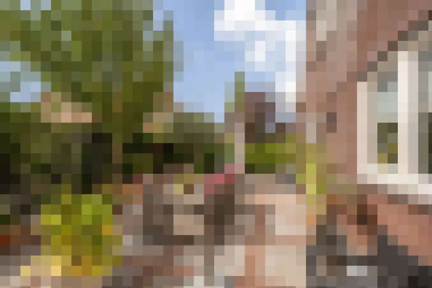 de Brouwpit 1 Meliskerke thumbnail 9